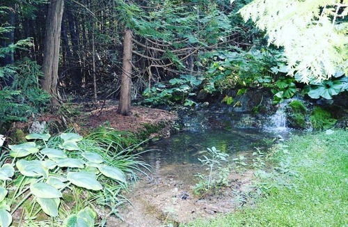 Mono Cottage | Cozy modern river side cottage surrounded by forests, waterfalls and streams
