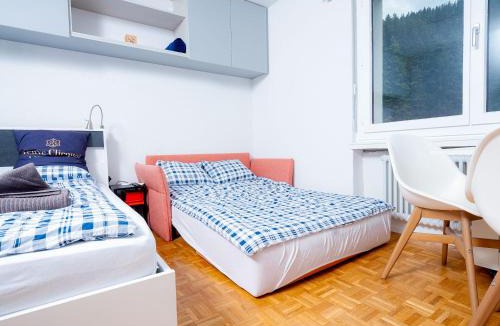Randogne Apartment | Cozy modern Studio super location feels like home