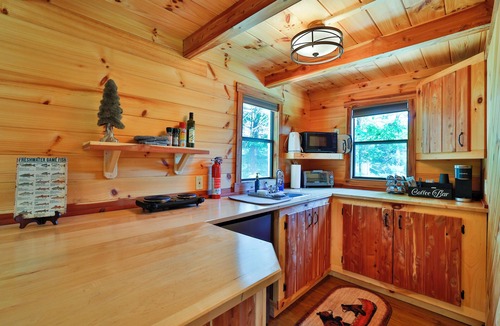 Eldred Cabin | Cozy Mountain Cabin w/Private Lake Access