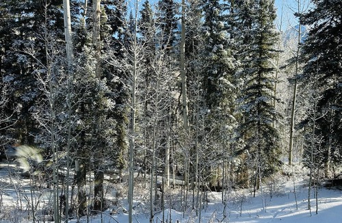 Purgatory Condo | Cozy mountain retreat at Purgatory Ski Resort.