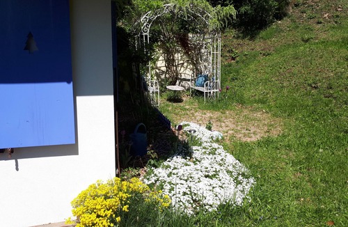 Willer-sur-Thur House | Cozy nest surrounded by nature