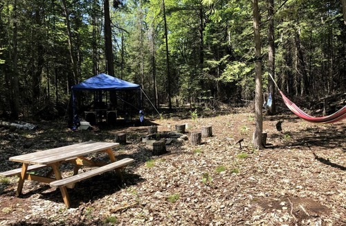 Manitoulin District House | Cozy Off-Grid Canvas Bell Tent Surrounded by Nature for a Peaceful Getaway in Tehkummah, Ontario