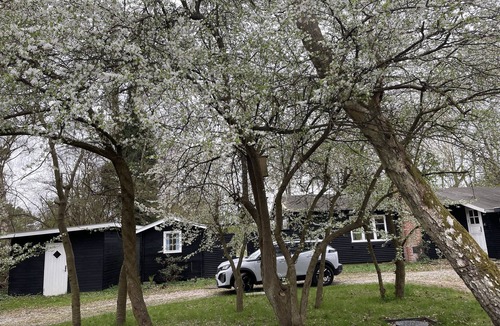 Dronningmolle Cottage | Cozy "old school" danish cottage 900 m from beautiful sandy beach