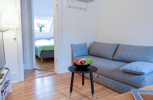 Copenhagen City Centre Apartment | Cozy One-bedroom Apartment in Copenhagen Downtown