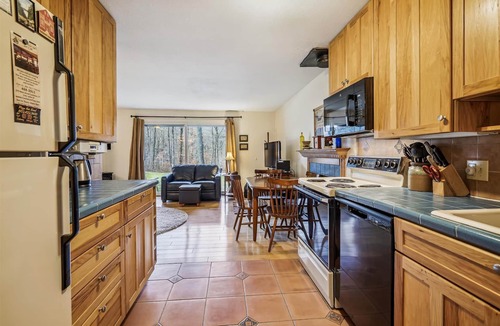 Central Vermont- Killington Condo | Cozy One-Bedroom Edgemont Condo with Ski Access & Fireplace B3