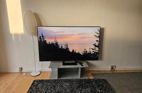 Roskilde Apartment | Cozy One Room Apartment