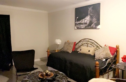 Westchase Apartment | Cozy & Peaceful Home