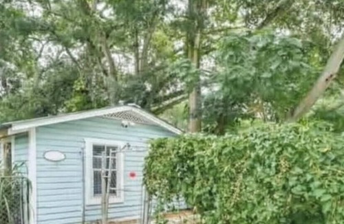 Dixieland Cottage | Cozy Pet-Friendly Studio in Downtown Lakeland