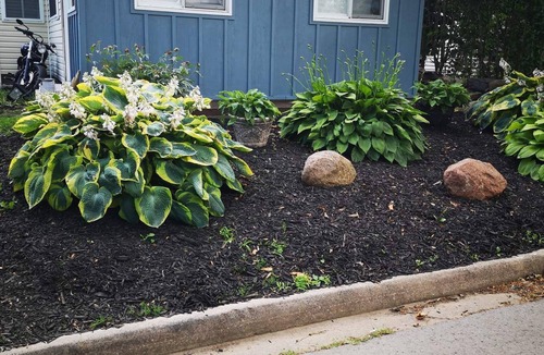 Port Dalhousie Cottage | Cozy Port Dalhousie Cottage - walkable to everything (pet friendly)