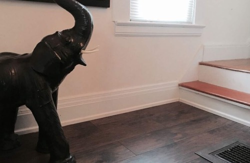 Englewood House | Cozy Private "A"Bedroom Kitchen WIFI