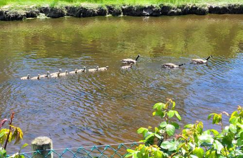 Birch Bay House | Cozy, Private Guest House #5