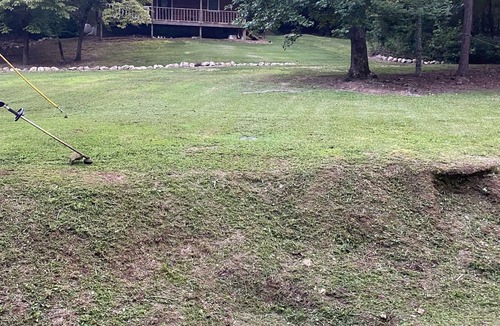 Cedar Bluff House | Cozy, Quiet Cabin Escape