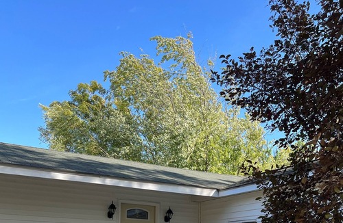 Murdock Cottage | Cozy, quiet cottage in the country with stocked lake access