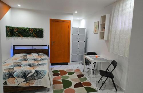 Bourgoin-Jallieu Apartment | Cozy renovated studio Comfort practicality