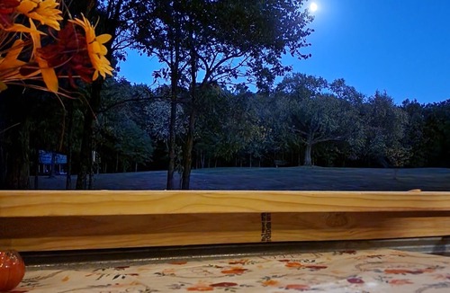 Sullivan Cottage | Cozy Retreat Surrounded by Nature