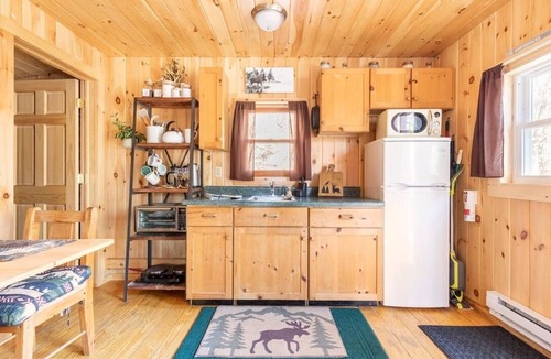 Warrensburg Cabin | Cozy Riverfront Adirondack Cabin [+ Bonus Cabin]
