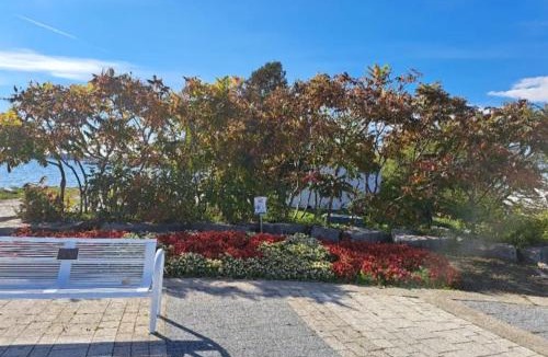 Pickering House | Cozy room near Pickering OPG