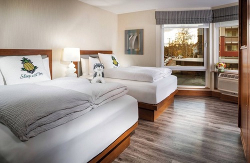 University District Hotel | Cozy Room Perfect for University Visits, w/Tea/Coffee Maker