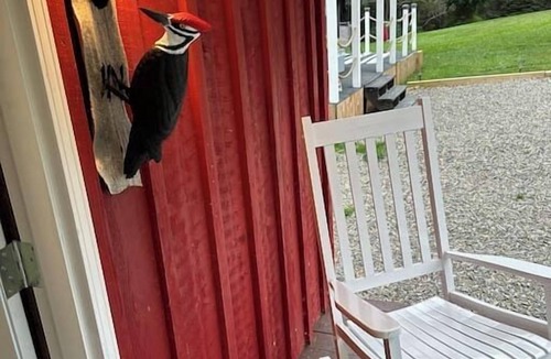 Valley Road Apartment | Cozy Rustic Cabin w/Hot Tub