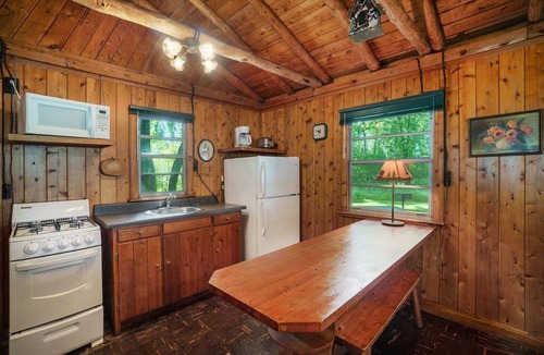 Cheboygan Cabin | Cozy, rustic log cabin on Mullett Lake #6