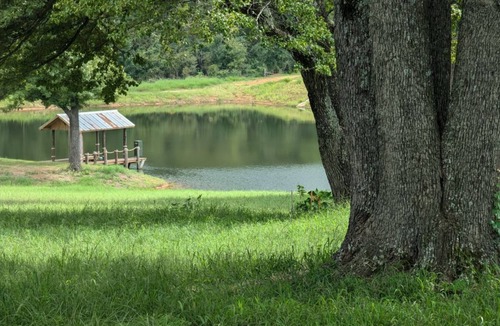 Anderson County House | Cozy RV - Awesome View - Fishing & Pet Friendly!