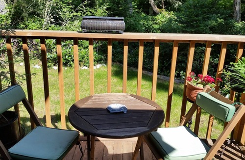 Lopez Island Cabin | Cozy, Secluded, Pet Friendly Cabin with Private Hot Tub.