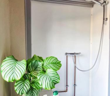Aalborg Apartment | Cozy Self Check-in Apartment in Aalborg Centre