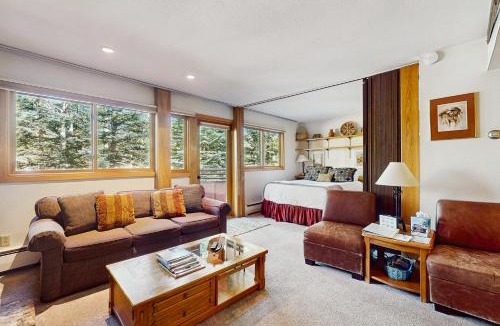 Snowmass Village Hotel | Cozy Slopeside Condo