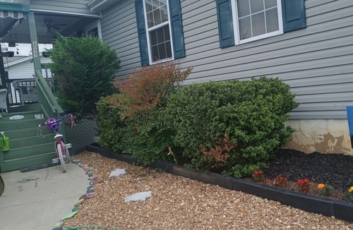 Cleveland House | Cozy & Spacious near Lee Univ