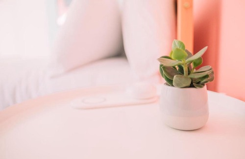 Cambridge City Centre Bed & Breakfast | Cozy Stay