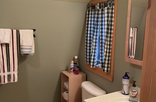 Brantingham Cabin | Cozy Stone House Cabin at Brantingham Lake! Pet Friendly!!