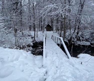 Lanesborough House | Cozy stream-side cabin