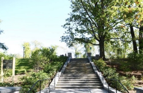 Cypress Hills Apartment | Cozy Studio Apartment