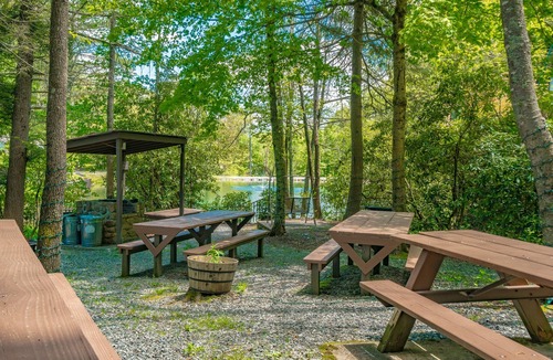 Blowing Rock Apartment | Cozy Studio Cabin #40 - Sleeps 4 - Full kitchen + fireplace - between Boone & Blowing Rock NC