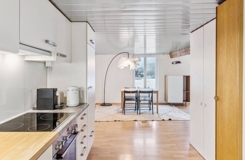 Dietikon District Apartment | Cozy Studio Charm Sum