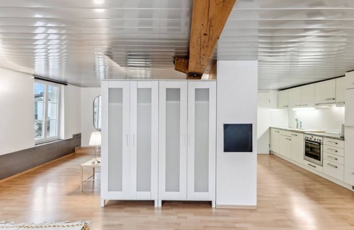 Dietikon District Apartment | Cozy Studio Charm Sum