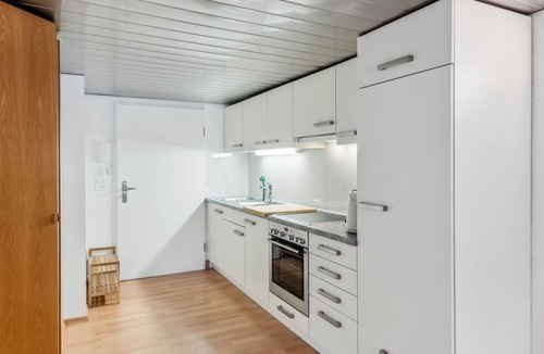 Dietikon District Apartment | Cozy Studio Charm Sum