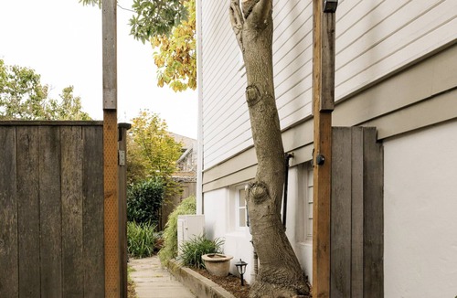 Mid-Beacon Hill Apartment | Cozy studio in enchanting Seattle with WiFi