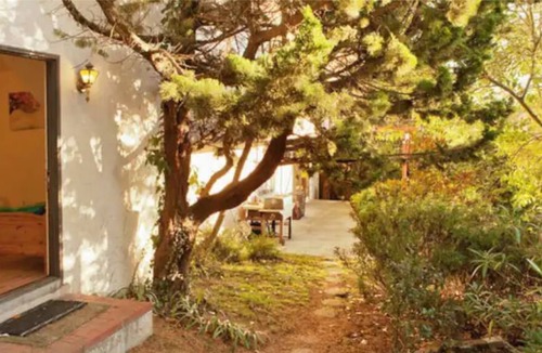 Berkeley Hills Apartment | Cozy Studio in North Berkeley Hills