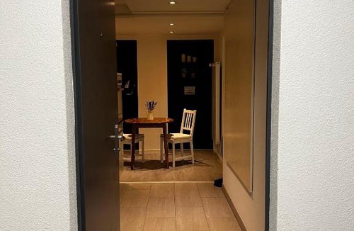 Nussbaumen Apartment | Cozy studio in the heart of Baden