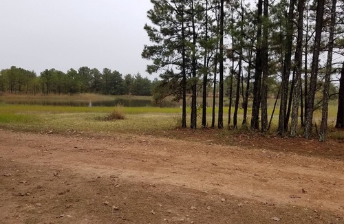 Antlers Apartment | Cozy studio pet friendly cabin- private lake - fishing & swim - Cowgirl Cabin
