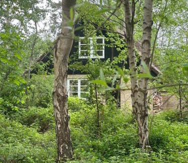 Skødshoved Strand House | Cozy Thatched Cottage With Modern Décor