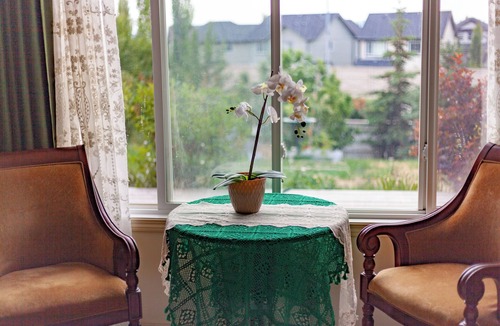 Cochrane House | Cozy tidy private | Sunset Garden