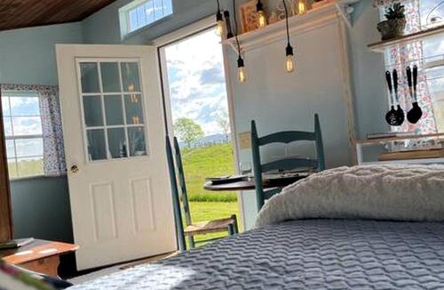 Mount Jackson House | Cozy Tiny House with Fire Pit and Barbecue in Mount Jackson, Virginia