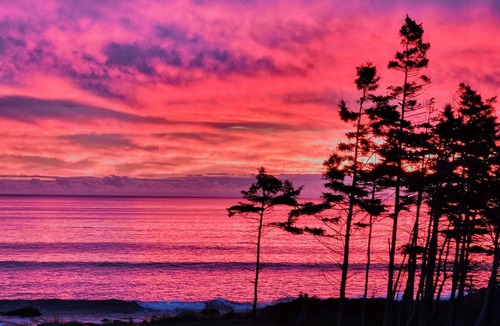 Ingomar Cottage | Cozy, tranquil waterfront retreat with a stunning oceanfront view in the pines.