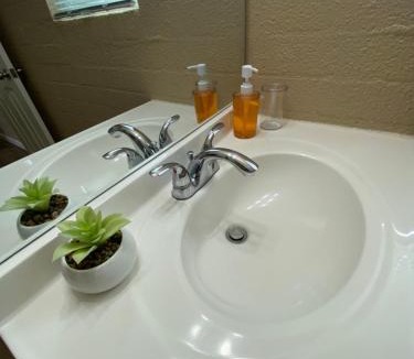 Midtown Apartment | Cozy Tucson Midtown Flat