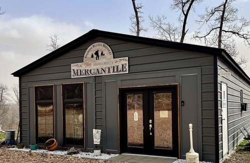 Cassville Cabin | Cozy Two Loft Tiny House Cabin near beautiful Roaring River with AC