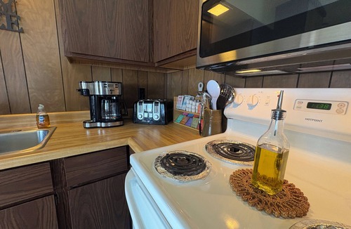 Bessemer Condo | Cozy U.P. Lodge w/Game Room, Sauna, Grill & Firepit: Schnickelfritz #2