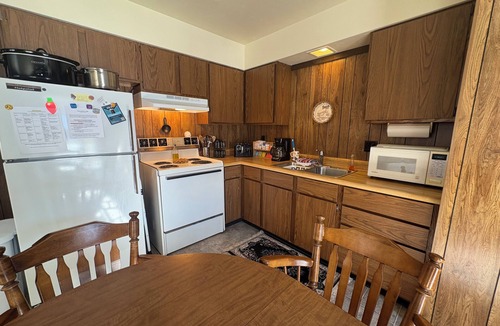 Bessemer Condo | Cozy U.P. Lodge w/Game Room, Sauna, Grill & Firepit: Schnickelfritz #3
