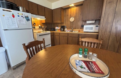 Bessemer Condo | Cozy U.P. Lodge w/Game Room, Sauna, Grill & Firepit: Schnickelfritz #3